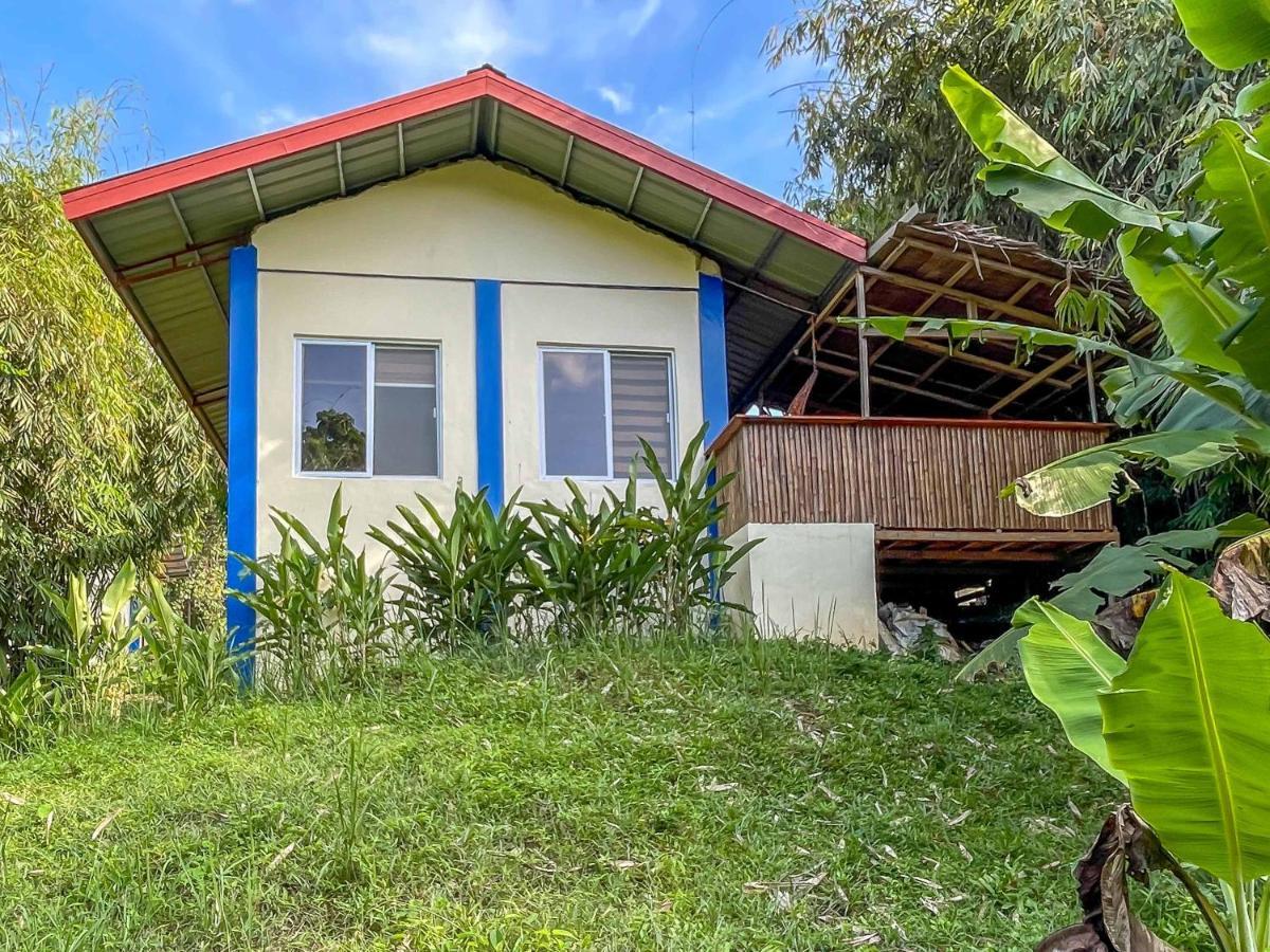 Blue Moon Guesthouse Puerto Princesa Exteriör bild