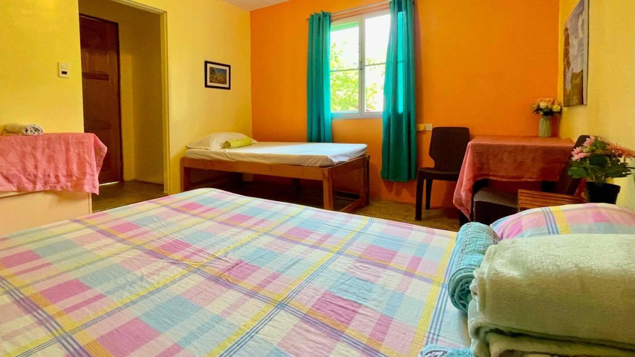 Blue Moon Guesthouse Puerto Princesa Exteriör bild