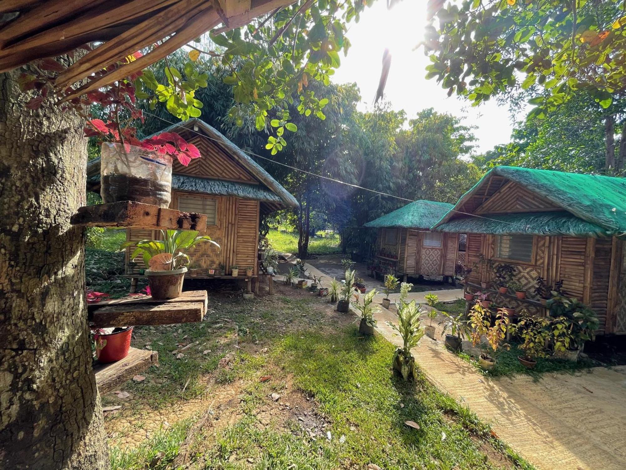 Blue Moon Guesthouse Puerto Princesa Exteriör bild