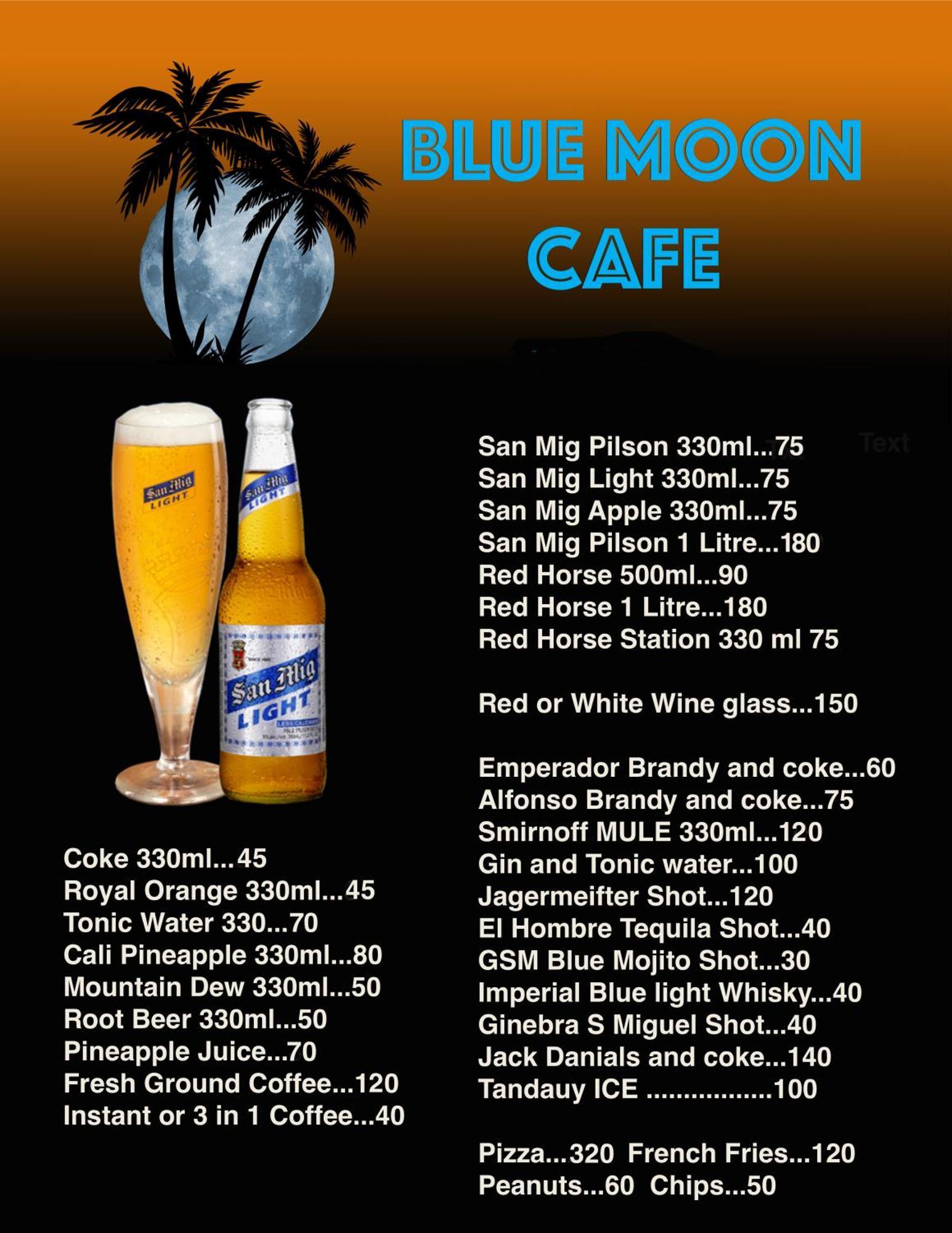 Blue Moon Guesthouse Puerto Princesa Exteriör bild